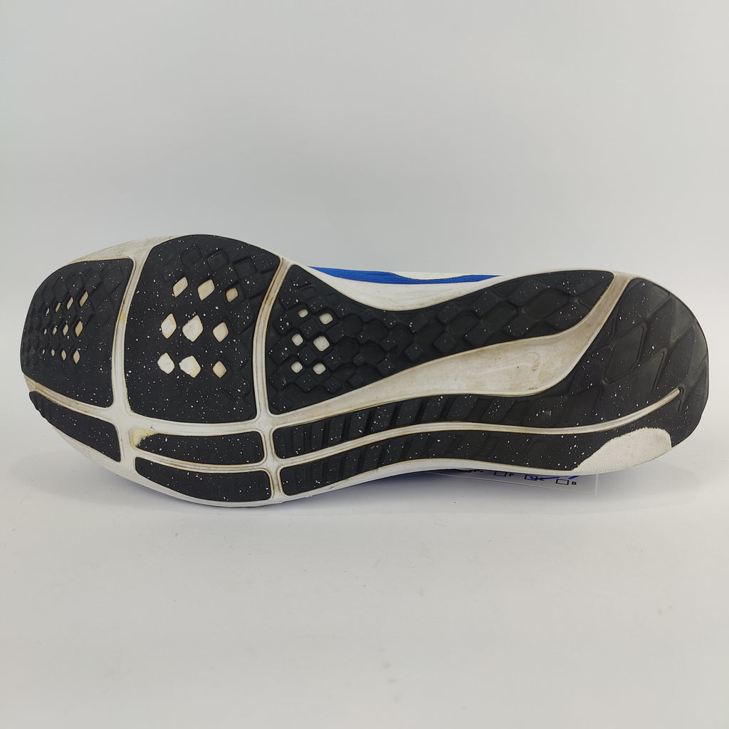 Nike Pegasus 39 (UK/PK 9) - 44 | Excellent